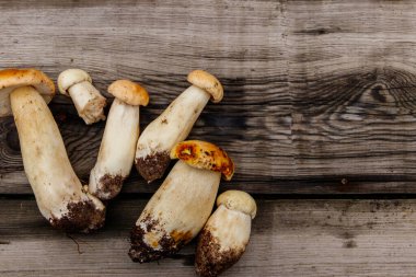 Köy ahşap masada taze toplanmış porcini mantarları. Üst görünüm