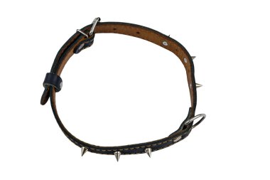 Beyaz arka planda izole edilmiş köpek için siyah deri çivili tasma.