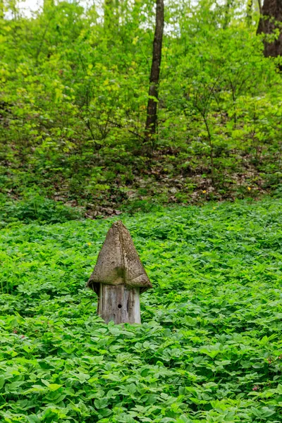 Oude Houten Bijenkorf Oude Landelijke Bijenstal — Stockfoto