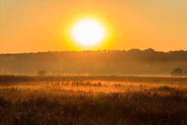 Sisli bir çayırda güzel bir gün doğumu