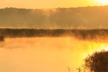 Gün doğumunda sisli nehir manzarası. Sabaha karşı sisli