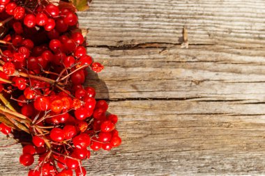 Kırsal ahşap arka planda kırmızı viburnum böğürtlen. Üst görünüm, alanı kopyala
