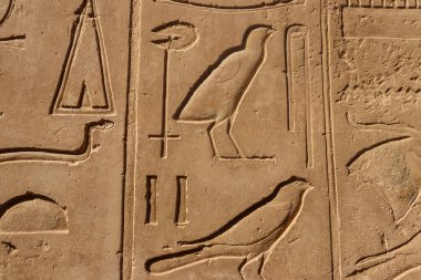 Mısır 'ın Luxor kentindeki Karnak Tapınağı Kompleksi' nin duvarında antik Mısır hiyeroglifleri var.