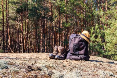 Turist sırt çantası, yürüyüş botları ve çam ormanında şapka. Yürüyüş konsepti