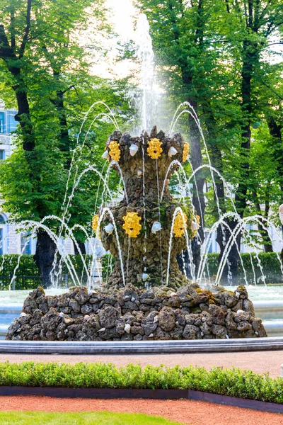 Fuente Corona Parque Ciudad Vieja Jardín Verano San Petersburgo Rusia — Foto de Stock