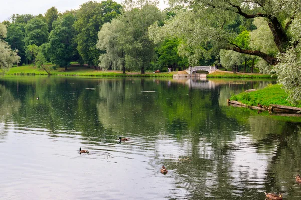 Lac Avec Vieux Pont Dans Parc Gatchina Russie — Photo