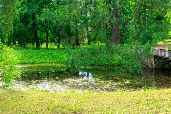 Brücke Über Einen Kleinen Fluss Katharinenpark Puschkin Zarskoje Selo Russland — Stockfoto