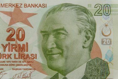 20 Türk lira banknotunun makro çekimi.