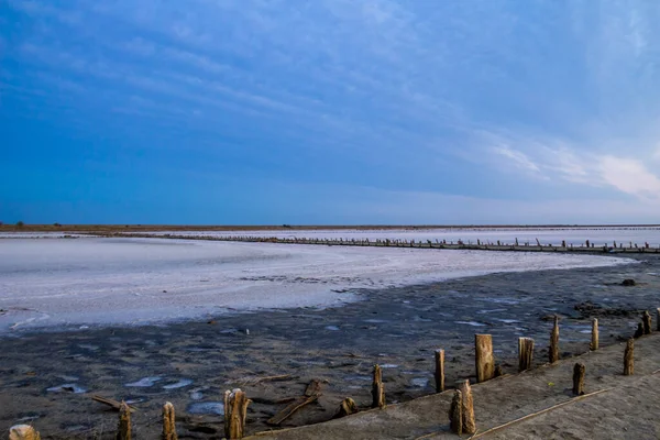 Pembe tuzlu Siwash Gölü, mikro alglerle renklendirilmiş, antioksidan özellikleriyle ünlü, beta-karoten ile suyu zenginleştiren