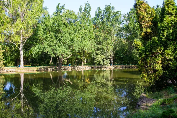 Kalm Meer Het Groene Park Zomer — Stockfoto