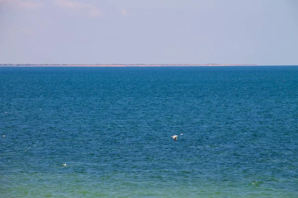 Vista Sobre Mar Azov Verão — Fotografia de Stock