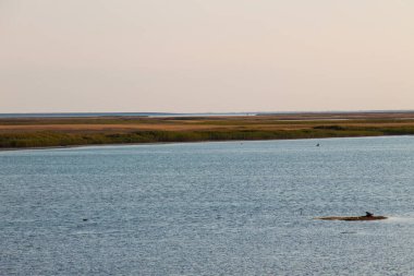 Ukrayna 'daki Sivash Gölü manzarası