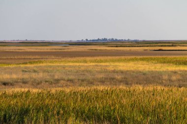 Ukrayna 'daki Sivash Gölü manzarası