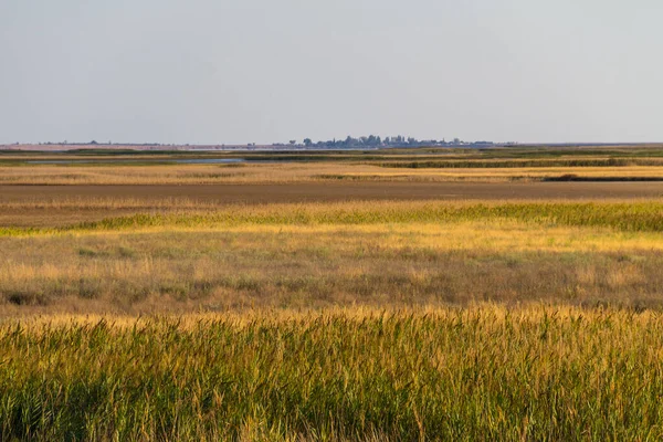 Vista Sobre Lago Sivash Ucrania — Foto de Stock