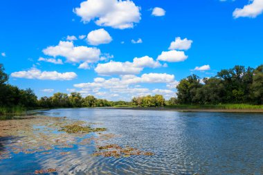 Güzel bir nehir, yeşil ağaçlar ve mavi gökyüzü olan yaz manzarası
