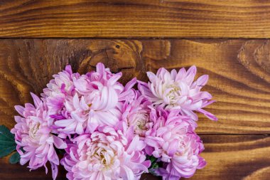 Ahşap arka planda güzel kasımpatılar. Üst görünüm, alanı kopyala