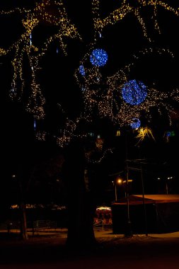 Şehir parkında çok renkli Noel ışıkları olan dekore edilmiş bir ağaç.