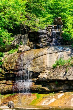 Uman, Ukrayna 'daki Sofiyivka parkında güzel bir şelale.