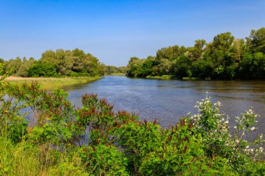 Güzel bir nehir, yeşil ağaçlar ve mavi gökyüzü olan bahar manzarası.