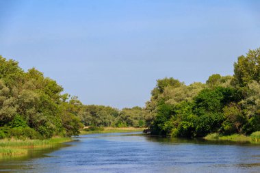 Güzel bir nehir, yeşil ağaçlar ve mavi gökyüzü olan bahar manzarası.
