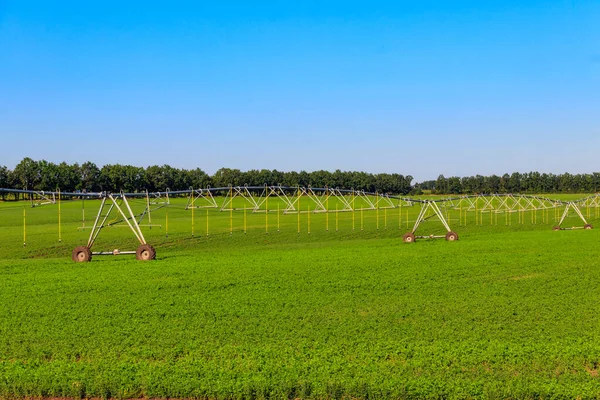 Gran Sistema Riego Agrícola Campo — Foto de Stock