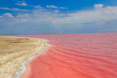 Ukrayna 'nın Kherson bölgesindeki pembe tuzlu Syvash Gölü manzarası
