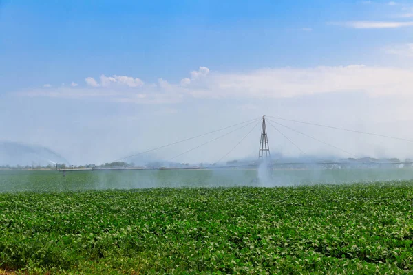 Grand Système Irrigation Agricole Dans Champ — Photo