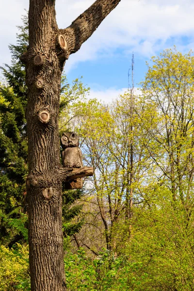 Escultura Madeira Coruja Sentado Uma Árvore Parque Krasnokutsk Região Kharkiv — Fotografia de Stock
