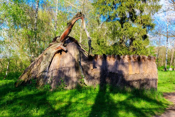 Reconstrucción Vivienda Siglos Los Primeros Eslavos Museo Aire Libre Arquitectura — Foto de Stock