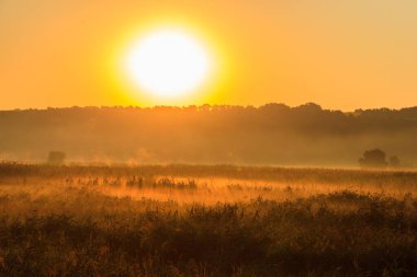 Sisli bir çayırda güzel bir gün doğumu