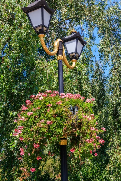 Straßenlaterne Mit Geranienblüten Blumentopf Dekoriert — Stockfoto