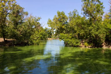 Yaz aylarında yeşil parkta sakin göl