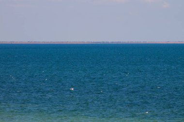 Yazın Azov Denizi manzarası