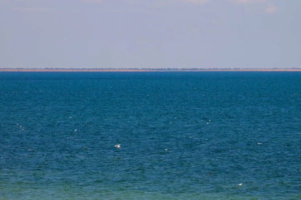 Yazın Azov Denizi Manzarası — Stok fotoğraf