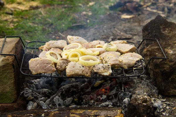 Viande Porc Crue Épicée Sur Gril Plein Air Préparation Shish — Photo