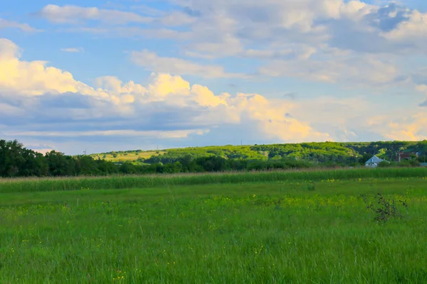 Green Meadow Blue Sky — Stock Photo, Image