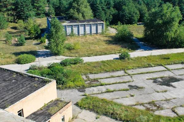 Вид Воздуха Сосновый Лес — стоковое фото