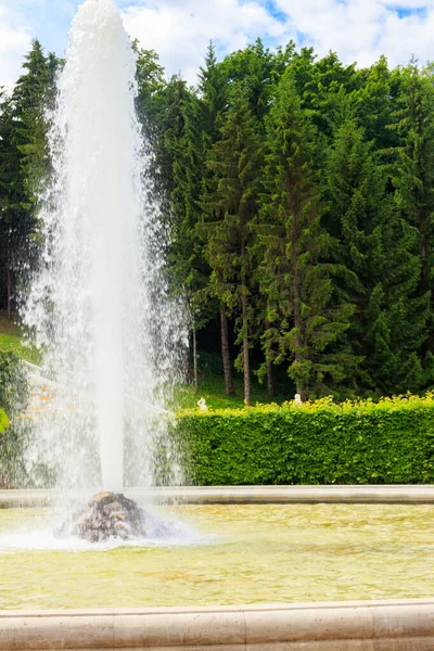 Fontána Zvěřince Dolním Parku Peterhof Petrohradě Rusko — Stock fotografie