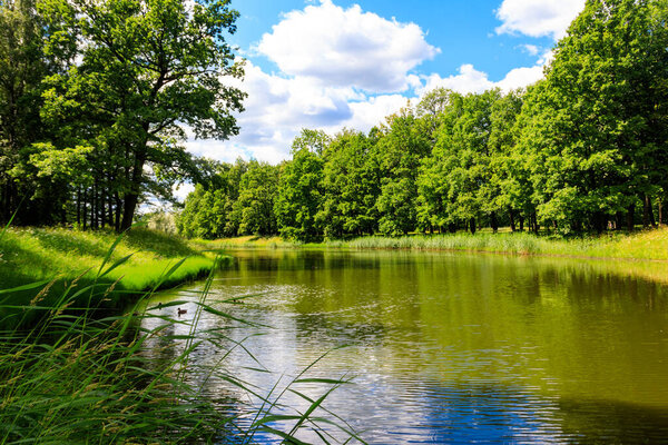 View of a river in green forest. Summer landscape