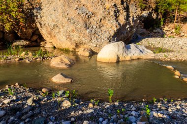 Güzel dağ deresi olan manzaralı bir yer. Küçük bir nehirde berrak suyu olan ideal bir manzara. Hızlı su akışı yakın çekim