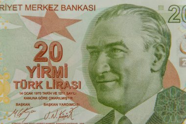 20 Türk lira banknotunun makro çekimi.