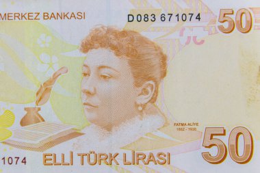 50 liralık Türk banknotunun makro çekimi.