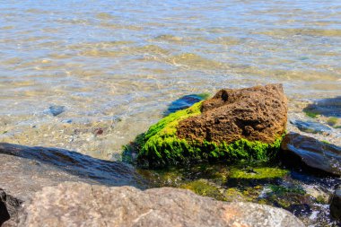 Bulgaristan 'da Karadeniz' in taşlı kıyıları