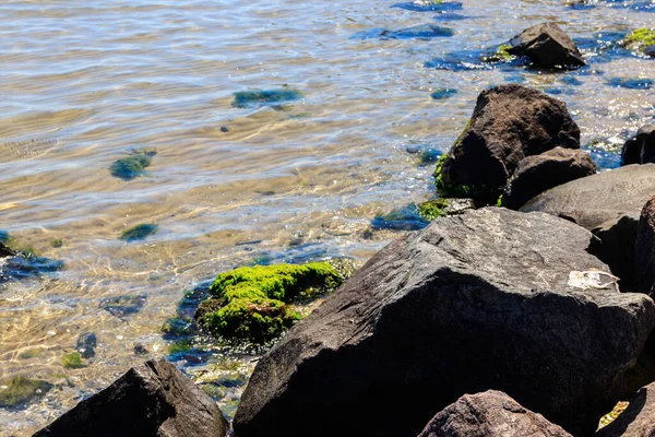 Steenkust Van Zwarte Zee Bulgarije — Stockfoto