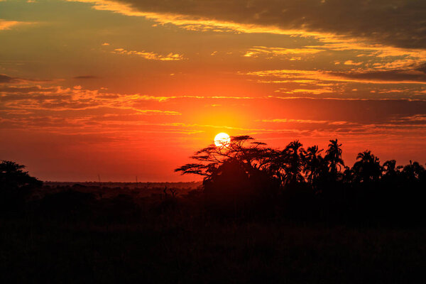 Beautiful african sunrise over savannah in Serengeti National Park, Tanzania