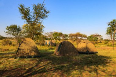 Serengeti Ulusal Parkı 'ndaki Safari kamp alanı, Tanzanya