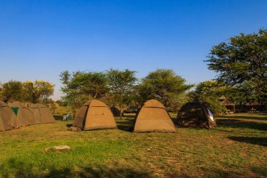 Serengeti Ulusal Parkı 'ndaki Safari kamp alanı, Tanzanya
