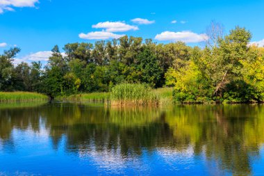 Güzel bir nehir, yeşil ağaçlar ve mavi gökyüzü olan yaz manzarası