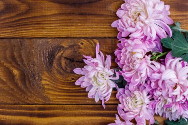 Ahşap arka planda güzel kasımpatılar. Üst görünüm, alanı kopyala