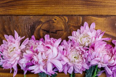 Ahşap arka planda güzel kasımpatılar. Üst görünüm, alanı kopyala